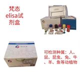 人Ⅰ型胶原交联羧基端肽(CTXI)elisa试剂盒